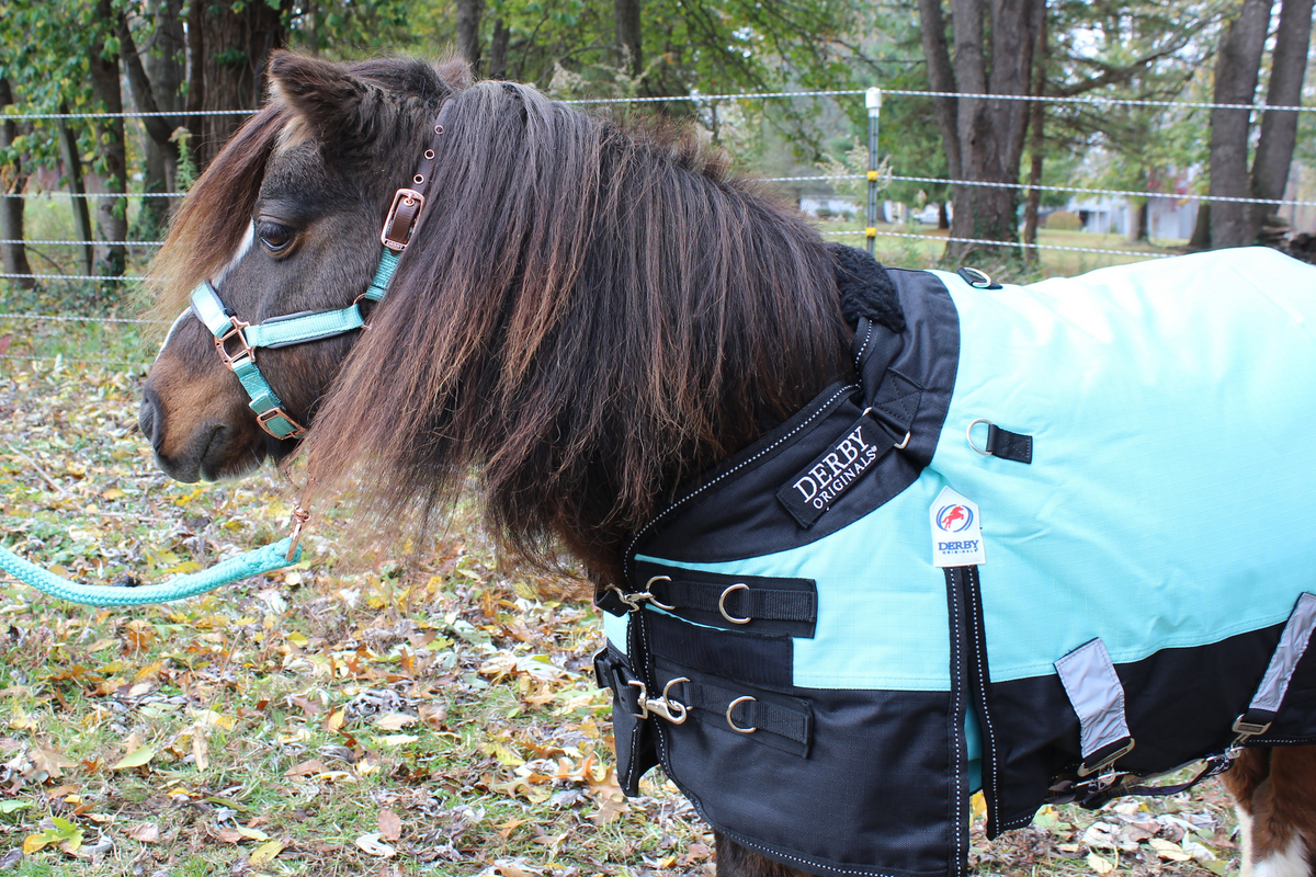 Heavyweight Turnout Blanket for Minis and Ponies, 1200D