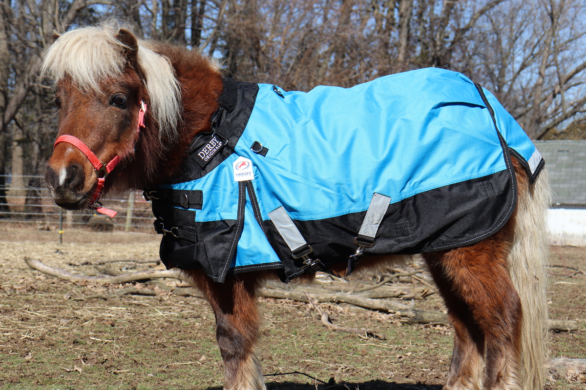 Heavyweight Turnout Blanket for Minis and Ponies, 1200D