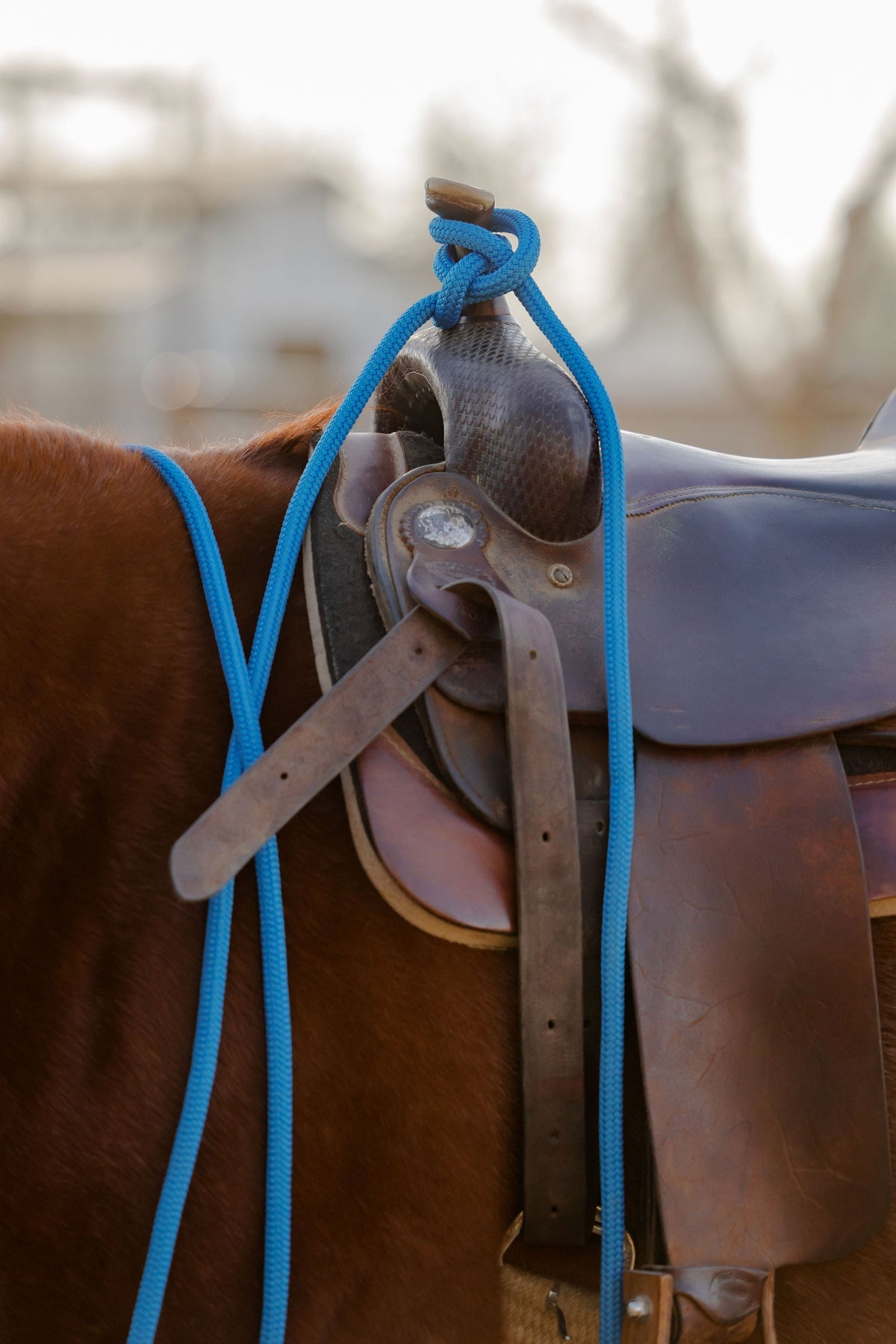 Andrea Equine 22 ft Mecate Reins, Hand Spliced