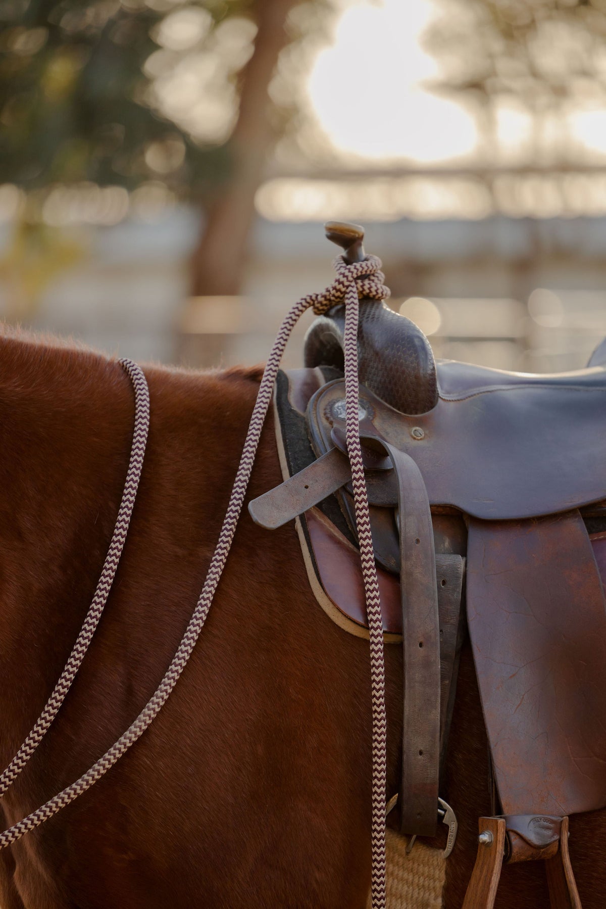 Andrea Equine 22 ft Mecate Reins, Hand Spliced