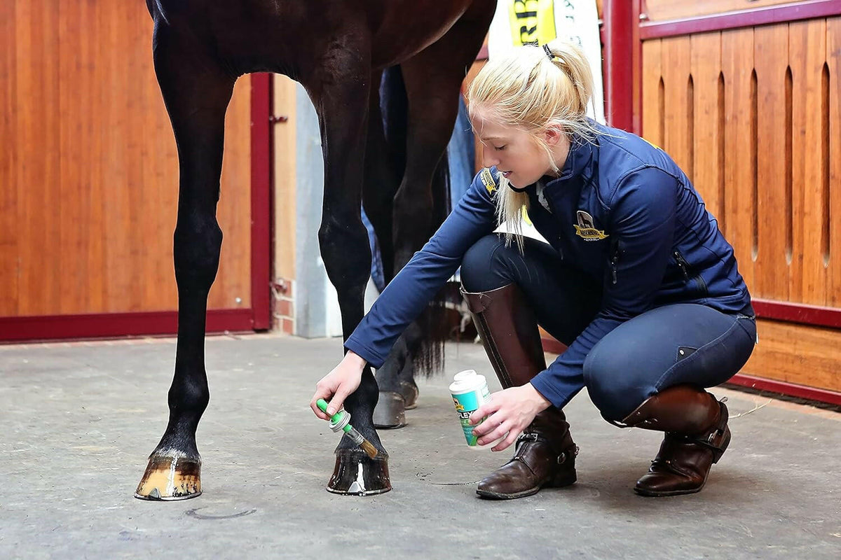 Natural Hoof Dressing and Conditioner
