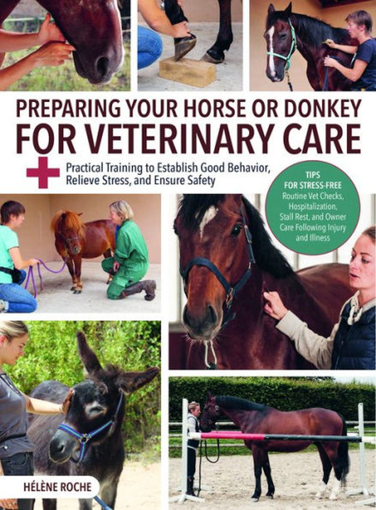 Preparing Your Horse or Donkey for Veterinary Care by Hélène Roche