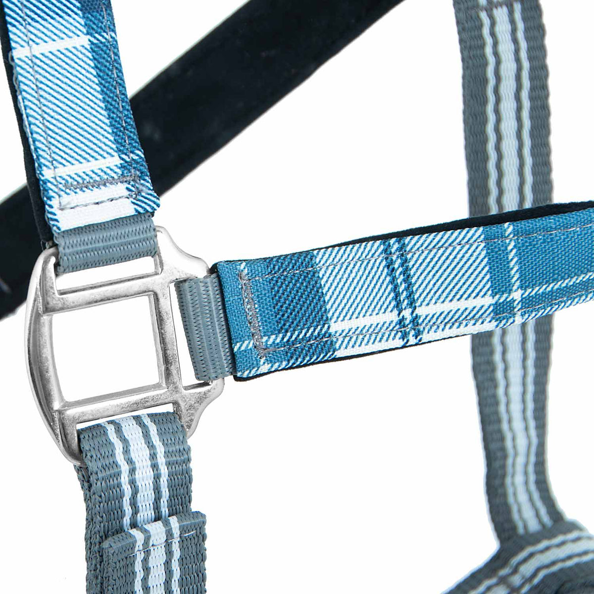 Jeffers Poplar Head Padded Halter and Matching Lead Set, Full