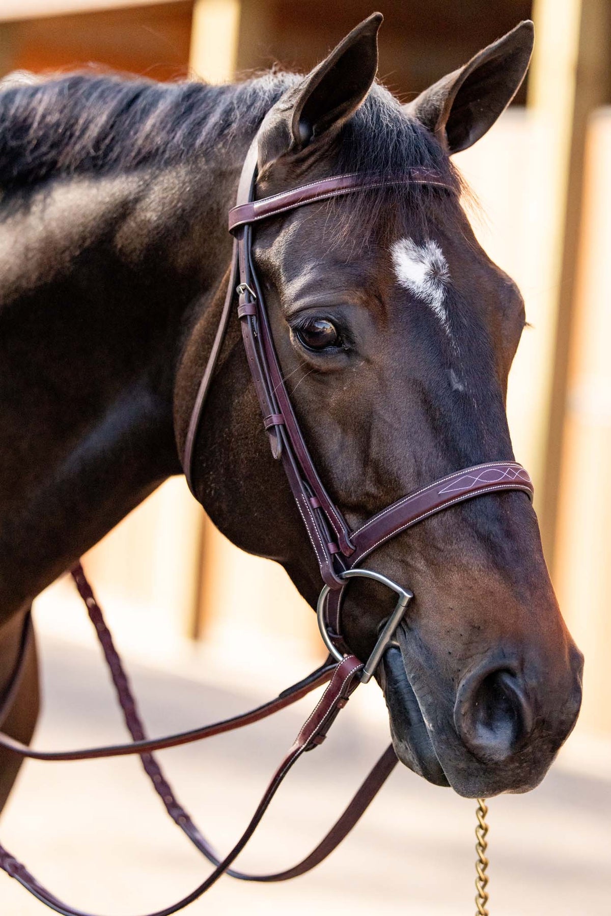 Fancy Stitched Laced Leather Schooling Reins