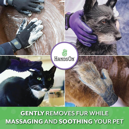 Davis Scruffy Horse Shampoo and HandsOn Gloves Bath Kit