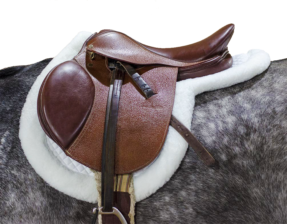 Fleece Padded Contour All Purpose English Saddle Pad