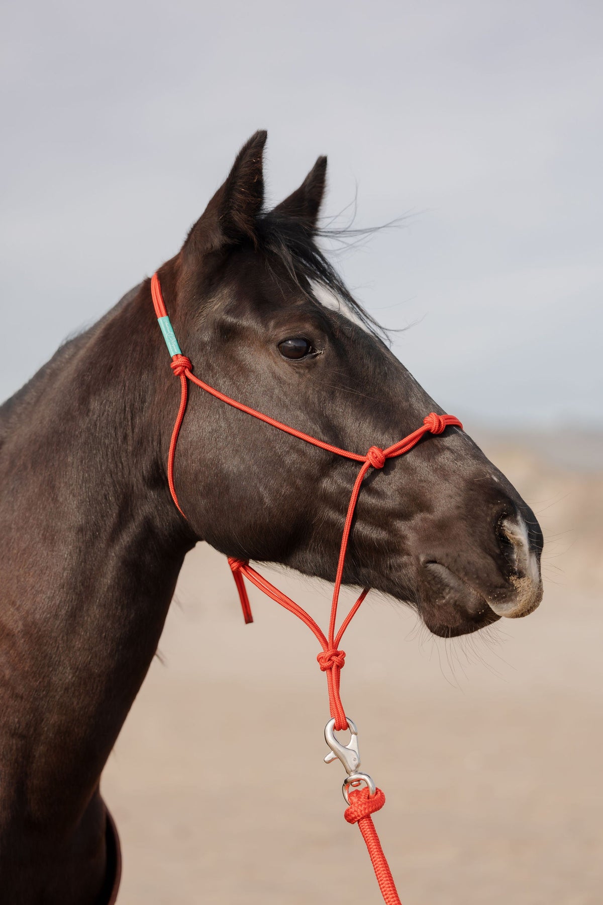 Stiff 4 Knot Rope Training Halter