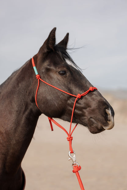 Stiff 4 Knot Rope Training Halter