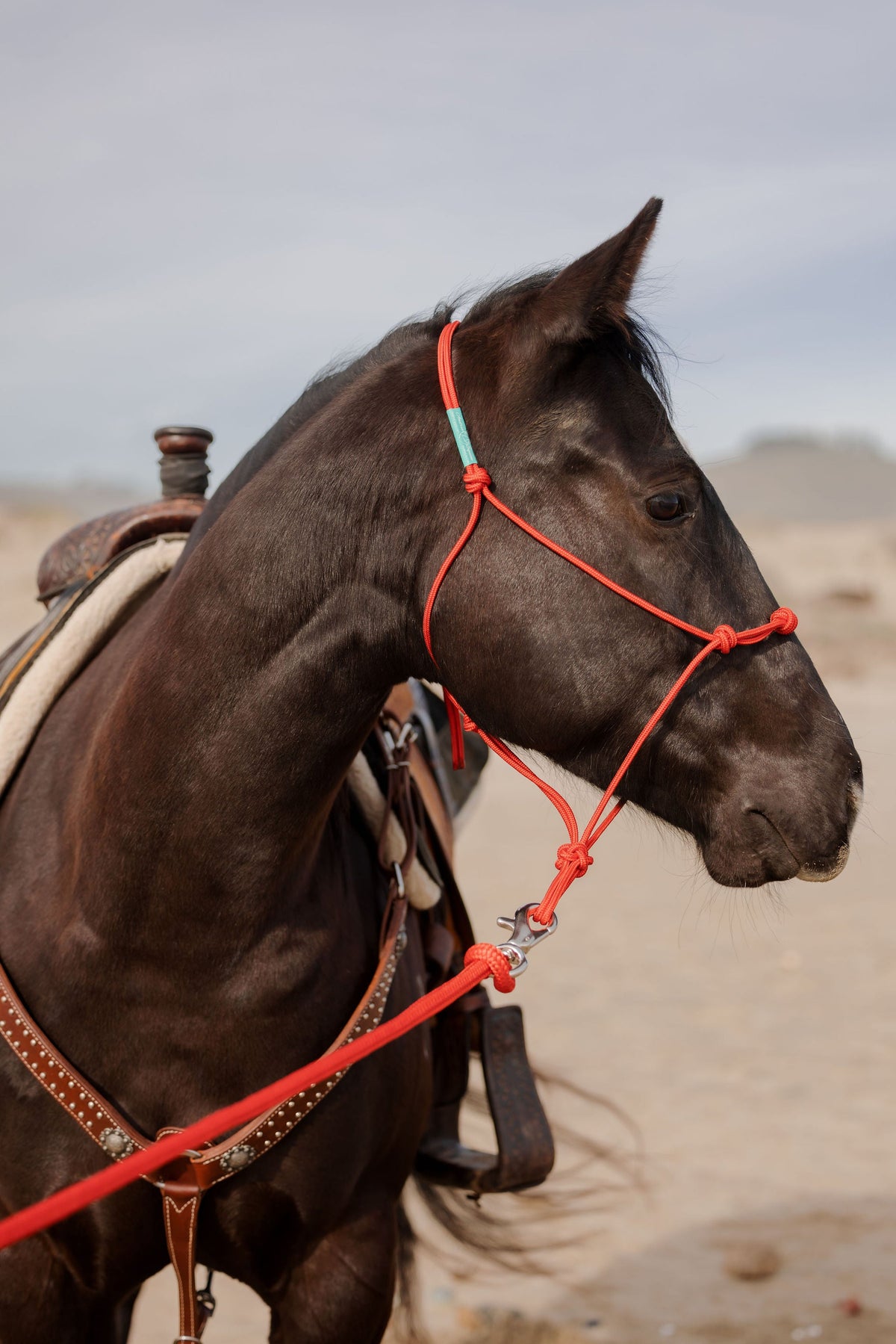 Stiff 4 Knot Rope Training Halter