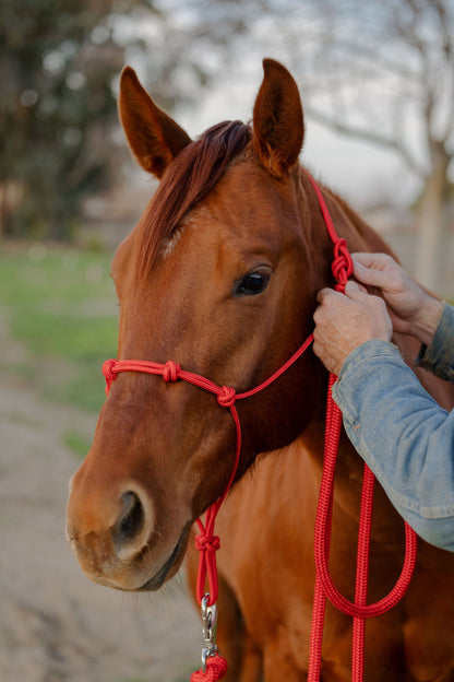 Stiff 4 Knot Rope Training Halter