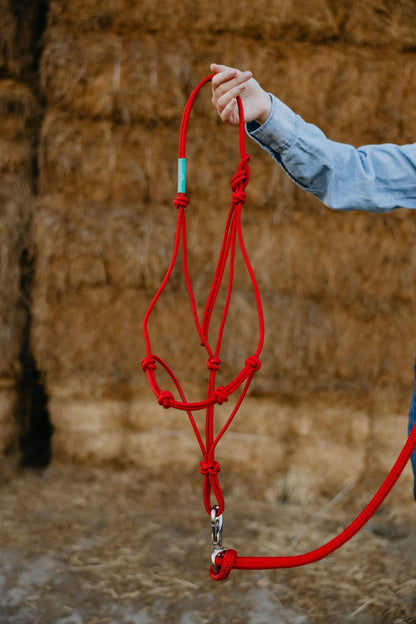 Stiff 4 Knot Rope Training Halter
