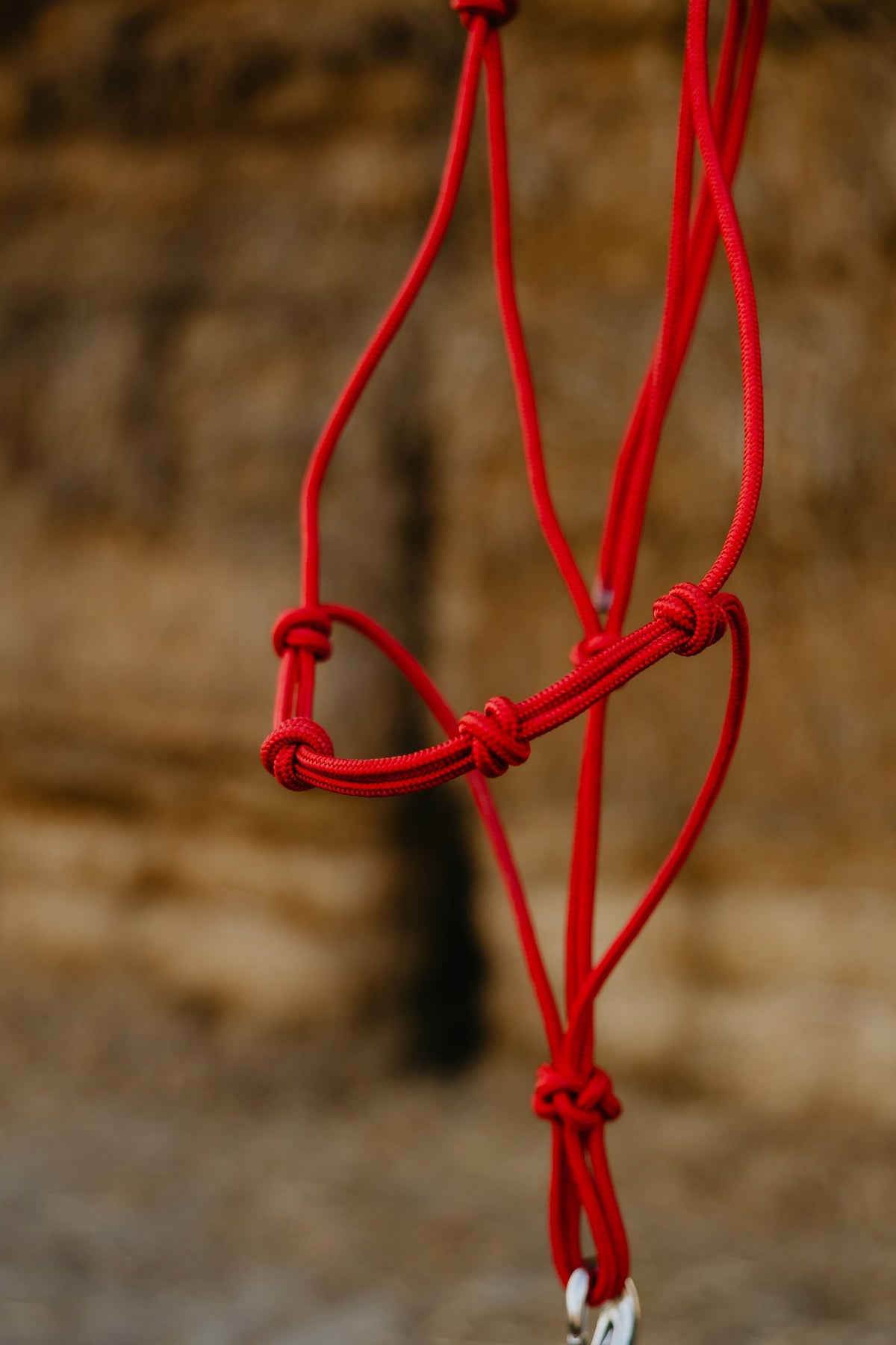 Stiff 4 Knot Rope Training Halter