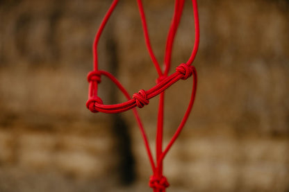 Andrea Equine 4 Knot Rope Halter and 14 ft Lead Set