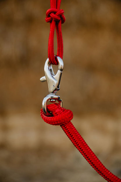 Andrea Equine 4 Knot Rope Halter and 14 ft Lead Set