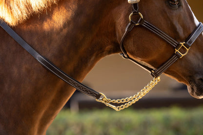 Huntley Equestrian English Leather Lead with Brass Chain