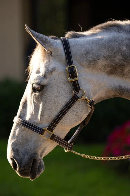 Huntley Equestrian Premium Leather Halter, Triple Stitched