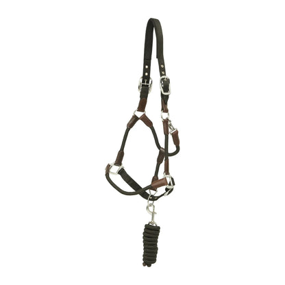 Huntley Nylon Halter with Removable Lead, Black