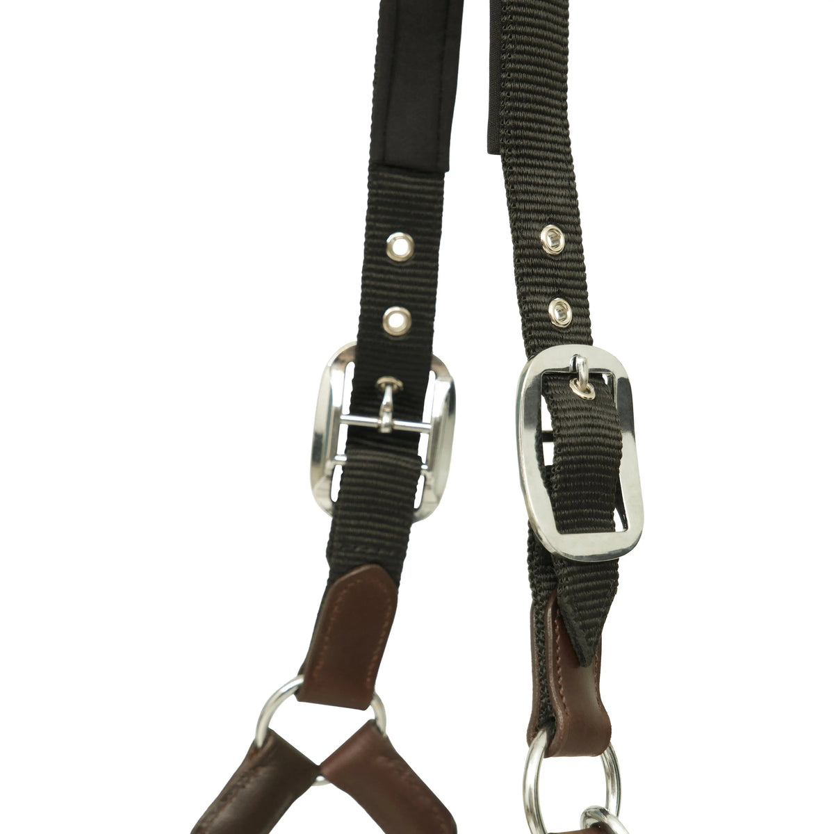 Huntley Nylon Halter with Removable Lead, Black