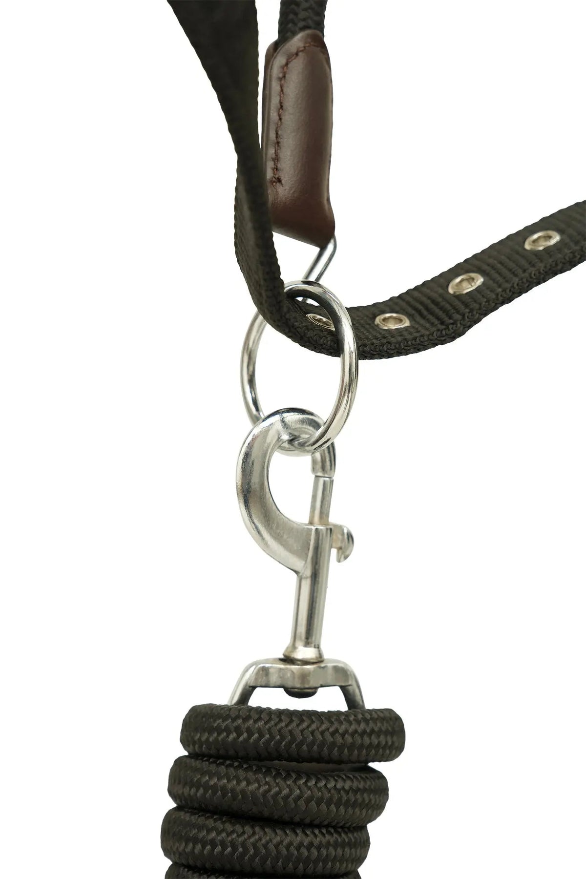 Huntley Nylon Halter with Removable Lead, Black