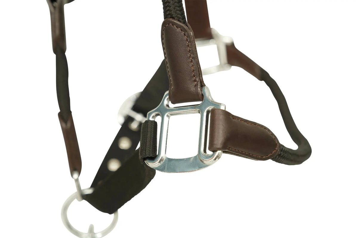 Huntley Nylon Halter with Removable Lead, Black