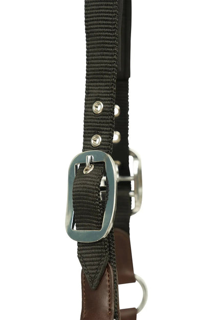 Huntley Nylon Halter with Removable Lead, Black