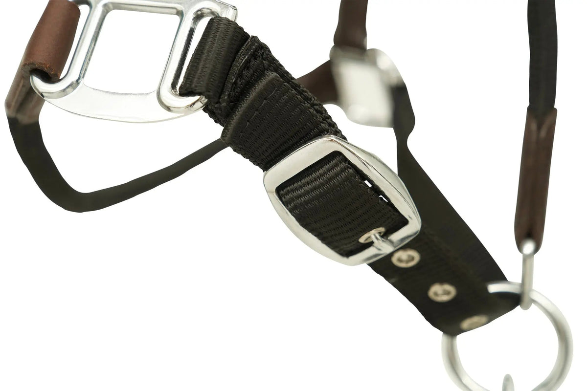 Huntley Nylon Halter with Removable Lead, Black