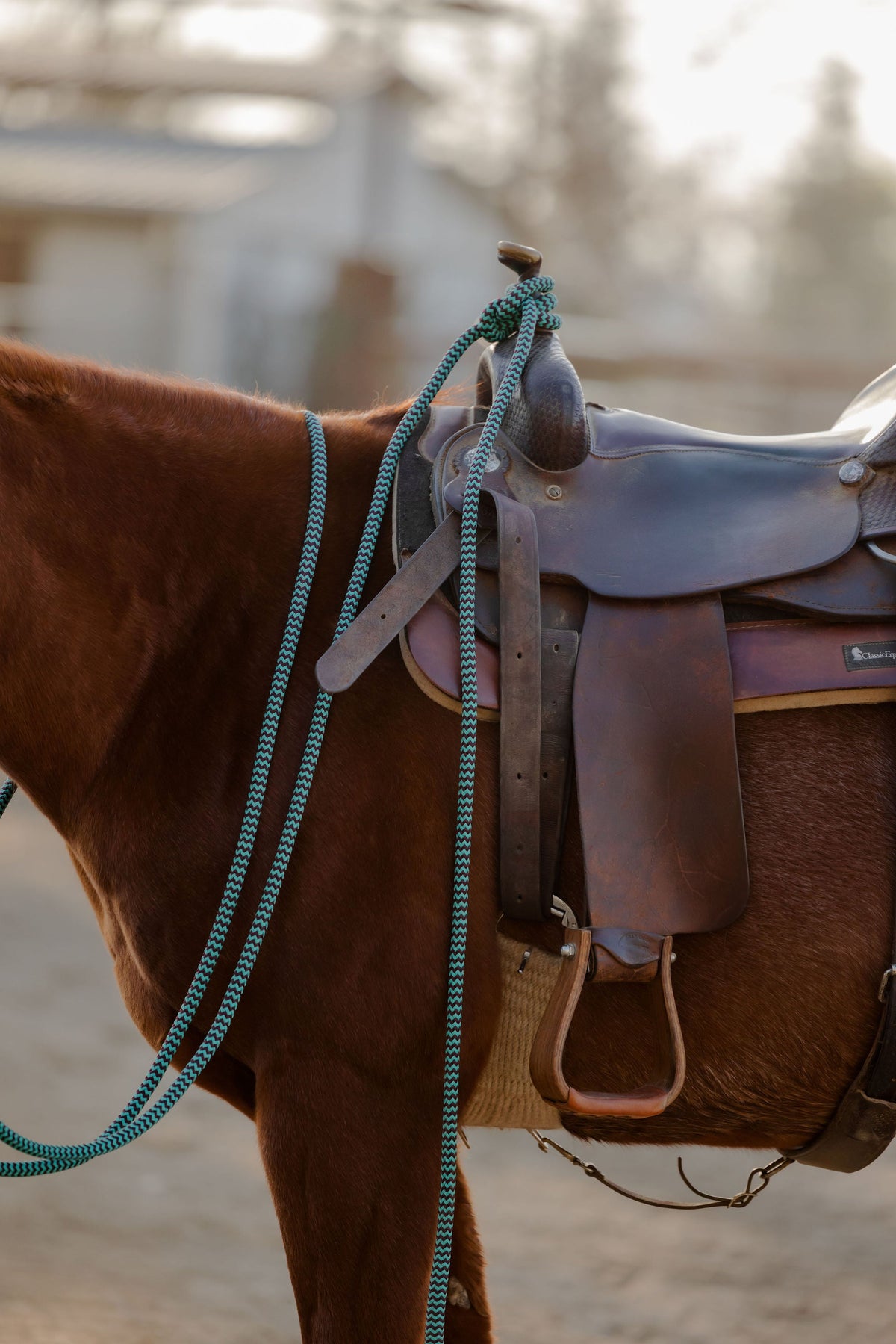Andrea Equine 22 ft Mecate Reins, Hand Spliced