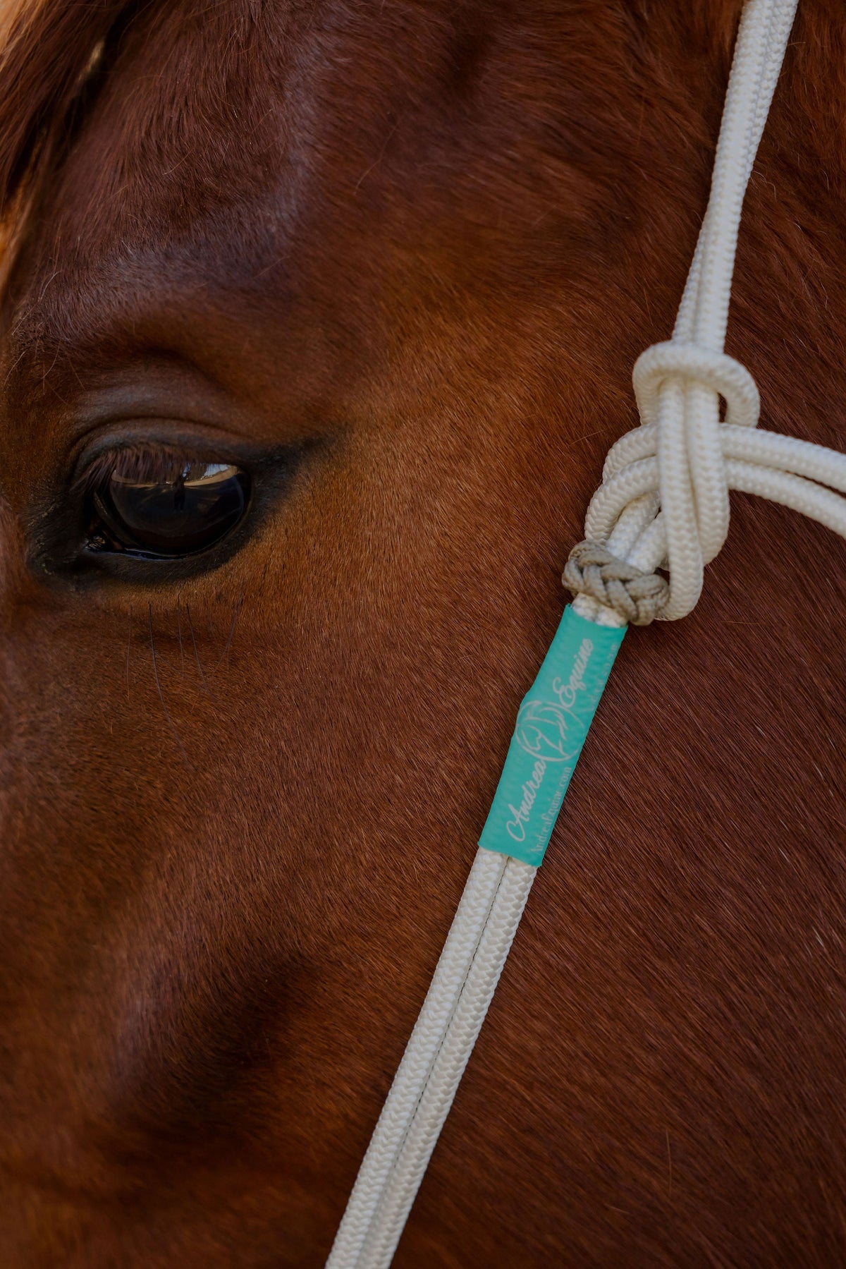 Stiff Rope Headstall, One Ear or Open Ear