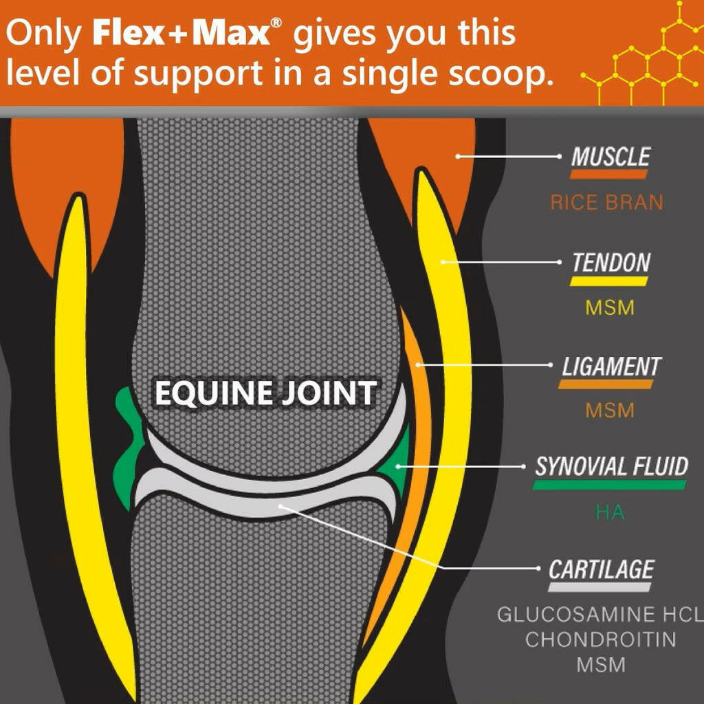 Absorbine Flex+ Max Joint Health Pellets Supplement for Horses