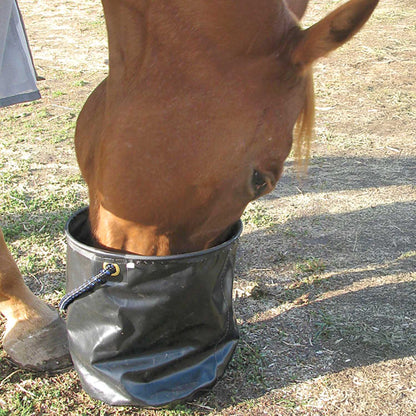 Cashel Collapsible Water Pail, 12.5 in