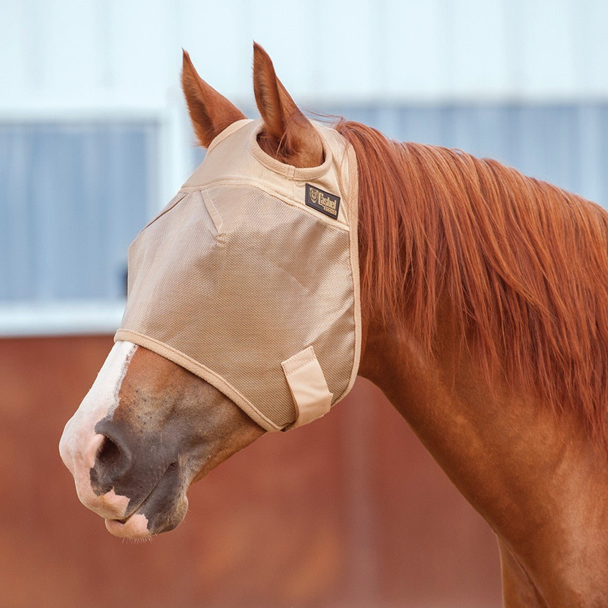 Cashel Econo Fly Mask Without Ears, Gold