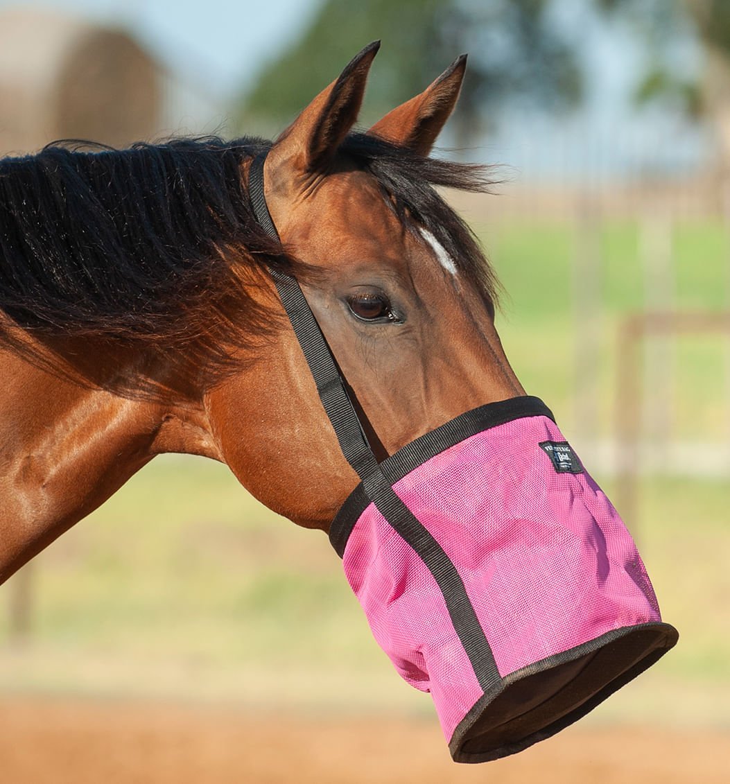 Cashel Feed Rite Feed Bag for Horses