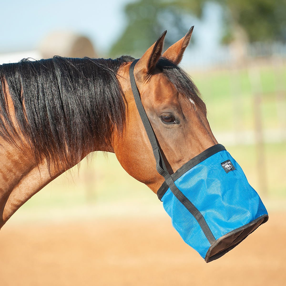 Cashel Feed Rite Feed Bag for Horses