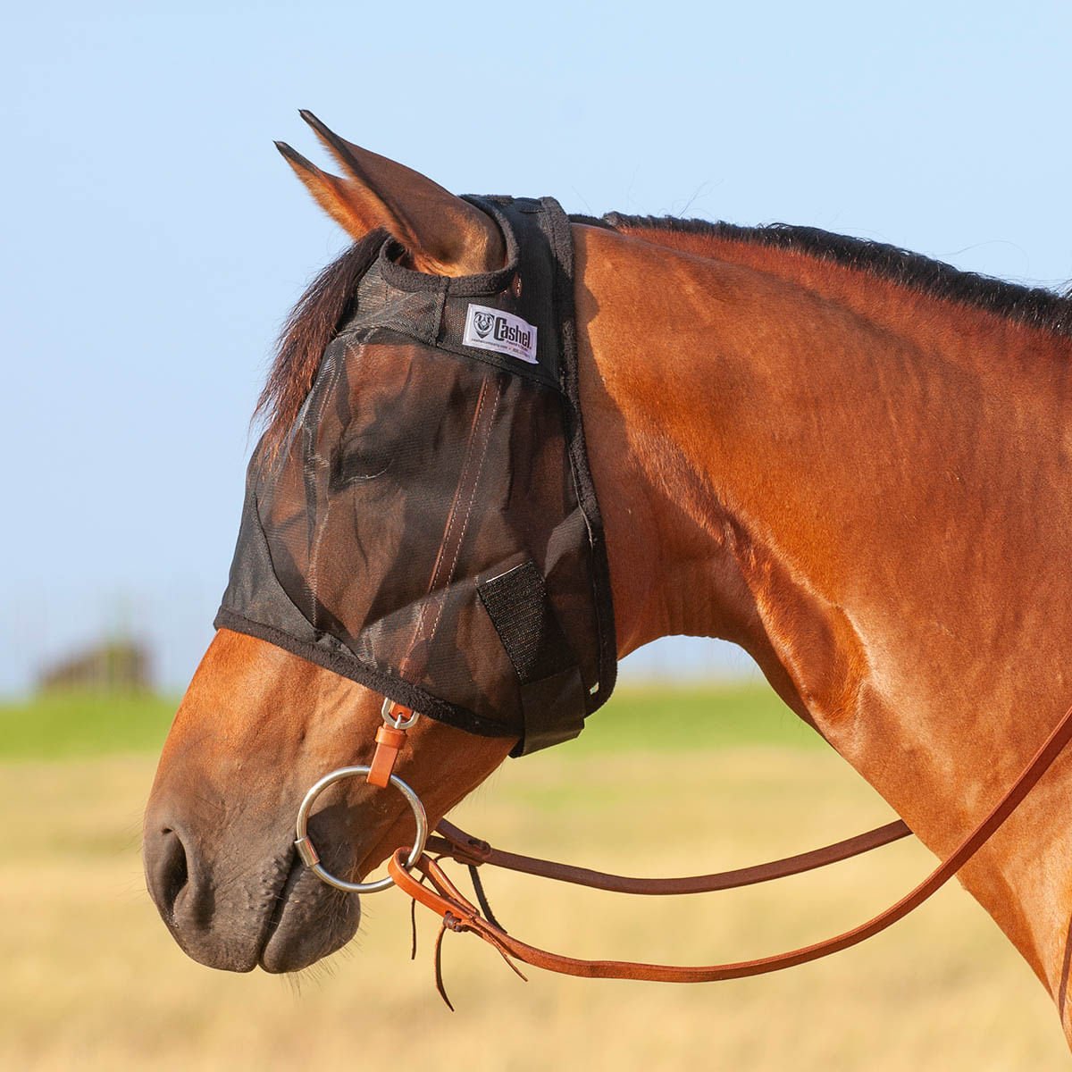 Cashel Quiet Ride Fly Mask for Riding, Over the Bridle