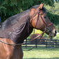 Cashel Quiet Ride Fly Hood for Horses