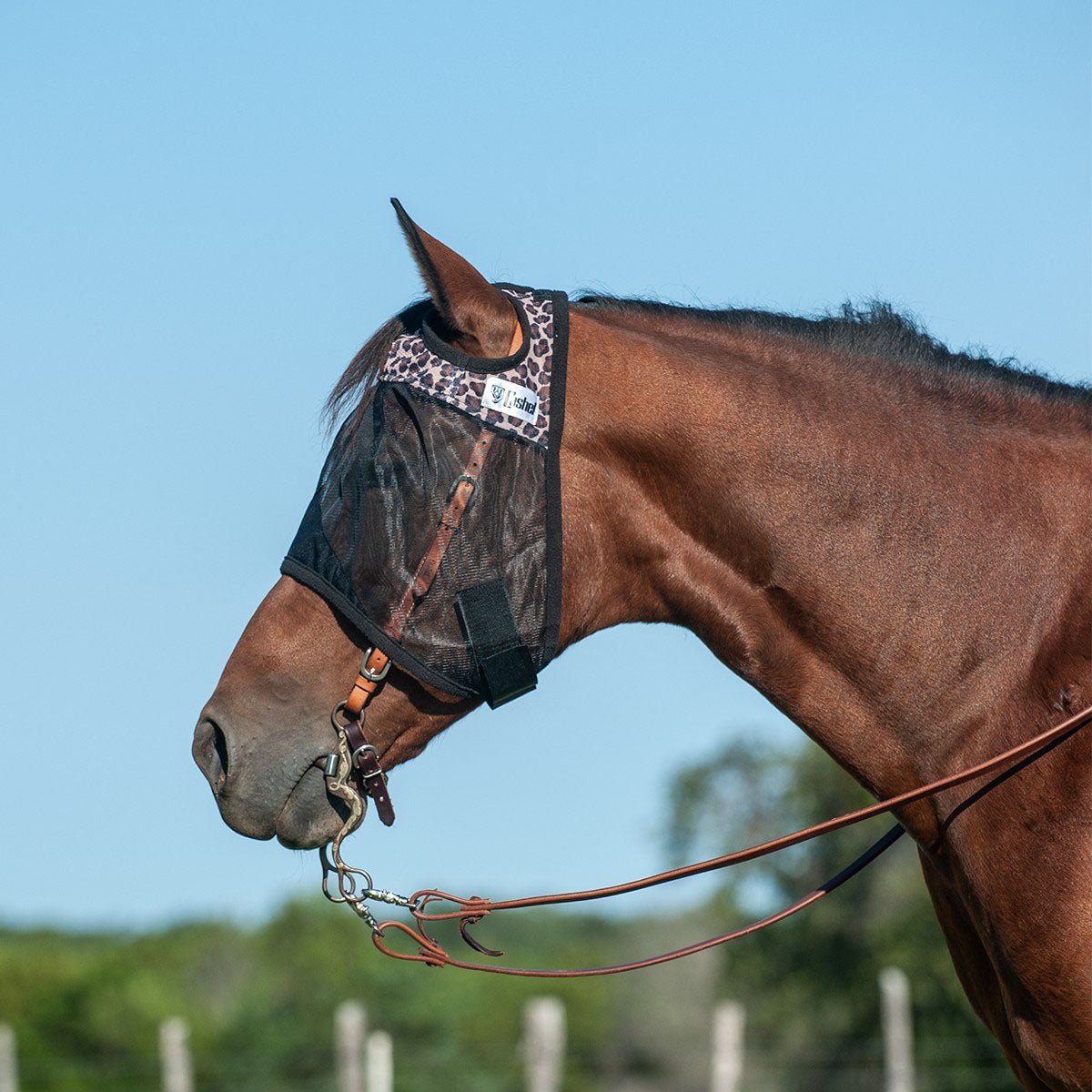 Cashel Quiet Ride Fly Mask for Riding, Over the Bridle