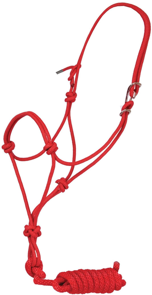 Jeffers Easy On Rope Halter with 8 ft Lead