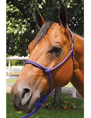 Jeffers Easy On Rope Halter with 8 ft Lead