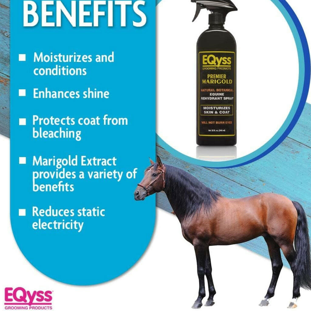 EQyss Premier Coat Conditioning Spray, Marigold Scent