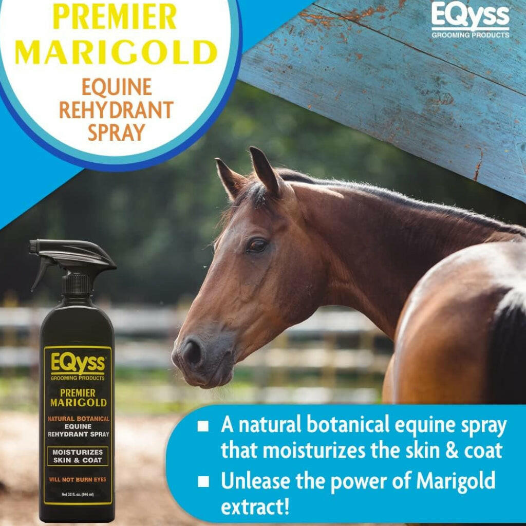 EQyss Premier Coat Conditioning Spray, Marigold Scent
