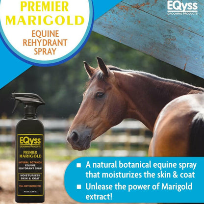 EQyss Premier Coat Conditioning Spray, Marigold Scent