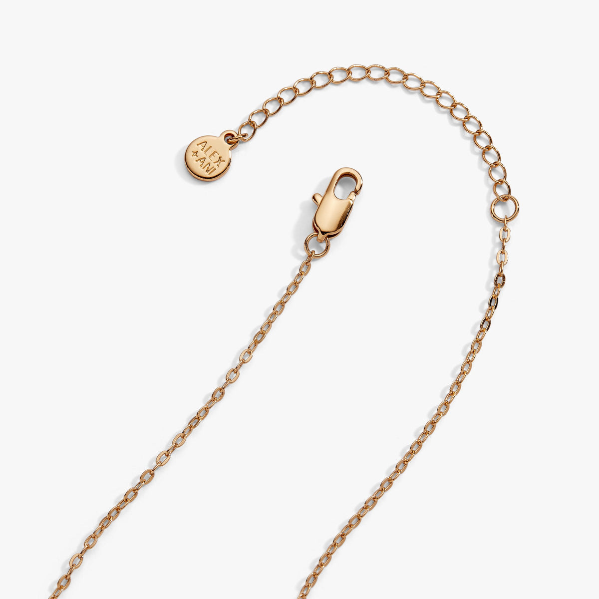 Horse Girl at Heart Horseshoe Necklace by Alex and Ani