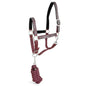 Jeffers Poplar Head Padded Halter and Matching Lead Set, Full