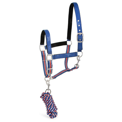 Jeffers Poplar Head Padded Halter and Matching Lead Set, Full