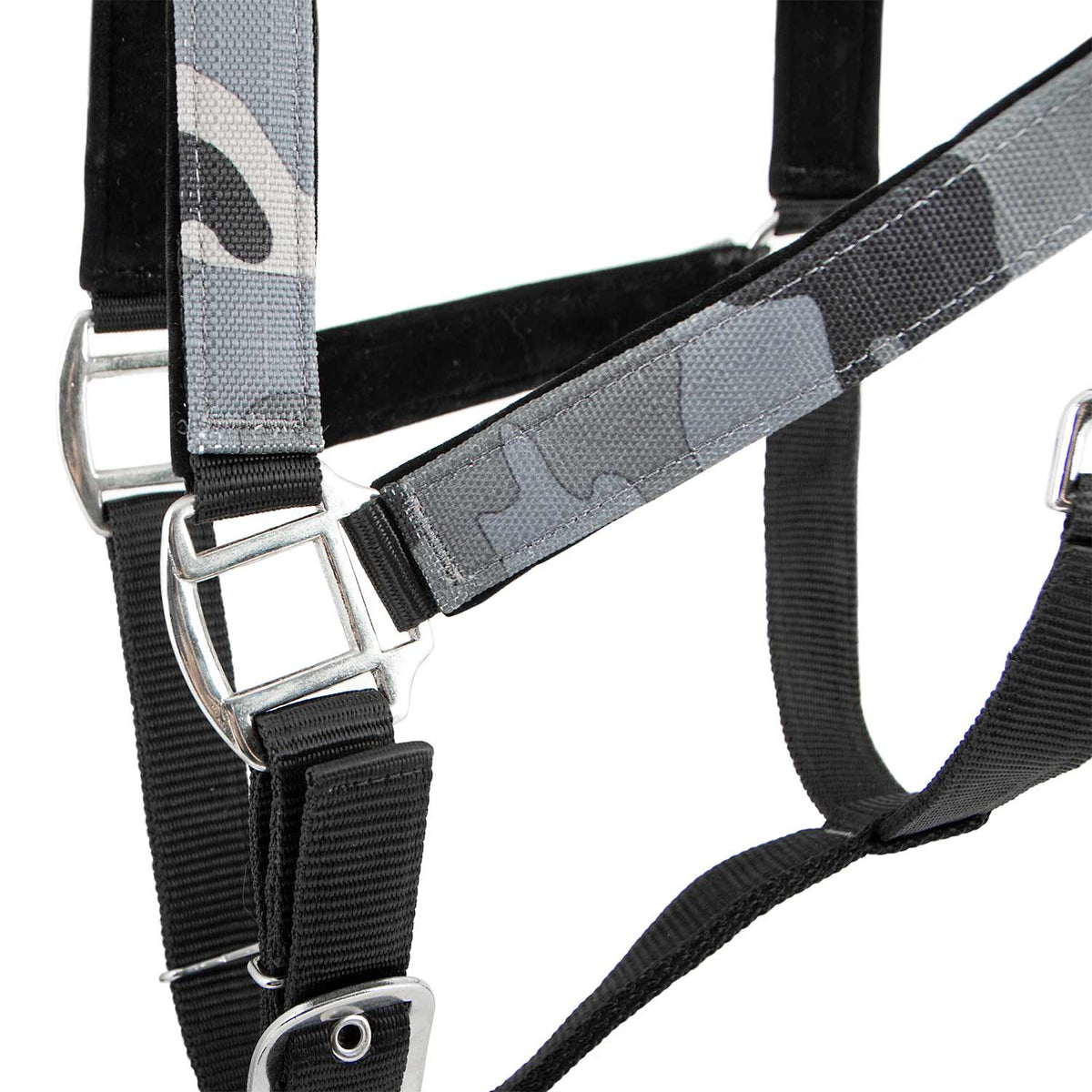 Jeffers Poplar Head Padded Halter and Matching Lead Set, Full