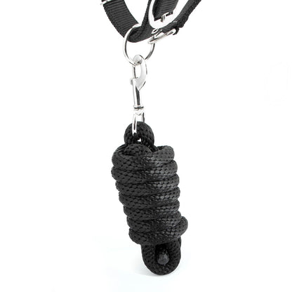Jeffers Poplar Head Padded Halter and Matching Lead Set, Full