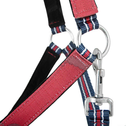 Jeffers Poplar Head Padded Halter and Matching Lead Set, Full