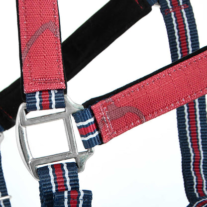 Jeffers Poplar Head Padded Halter and Matching Lead Set, Full