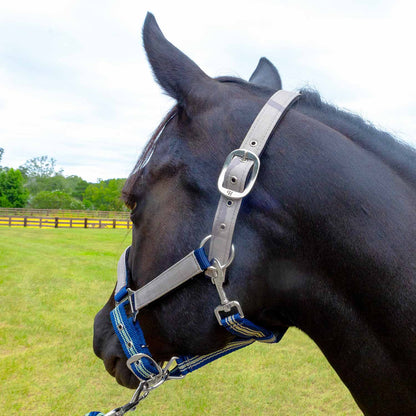 Jeffers Poplar Head Padded Halter and Matching Lead Set, Full