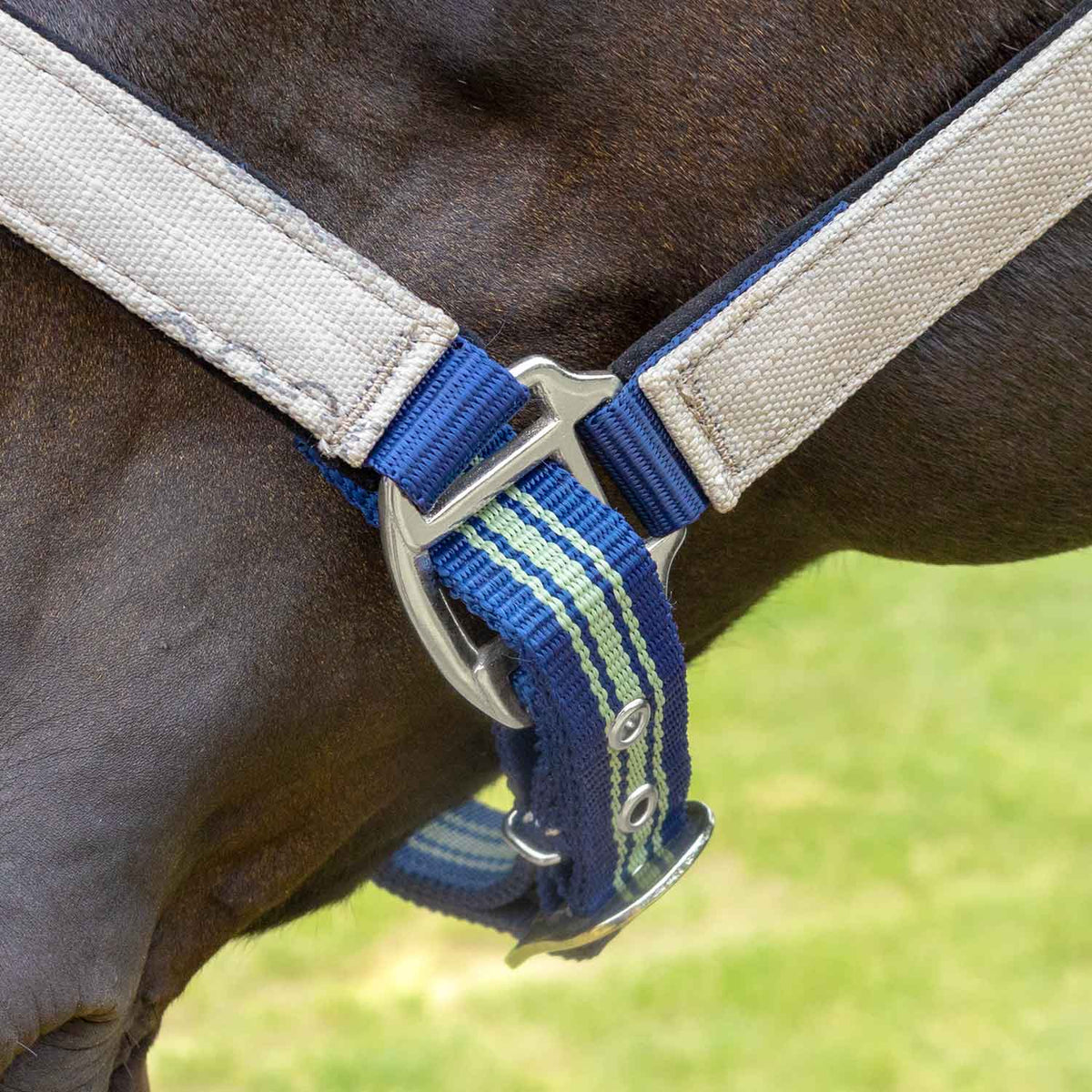 Jeffers Poplar Head Padded Halter and Matching Lead Set, Full